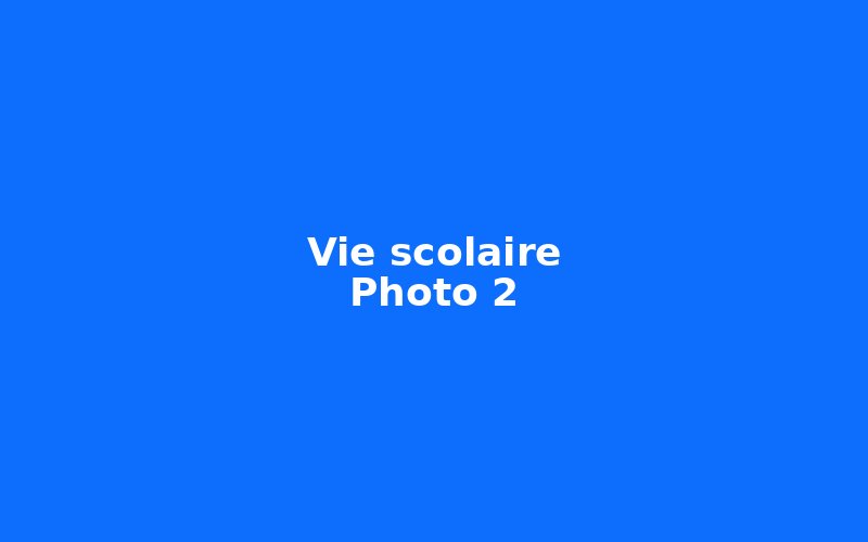 Vie scolaire — photo 2 (à remplacer)