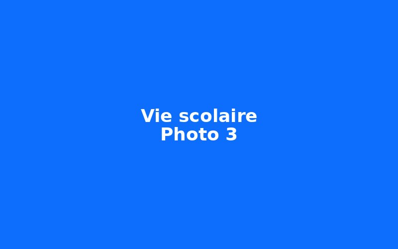Vie scolaire — photo 3 (à remplacer)